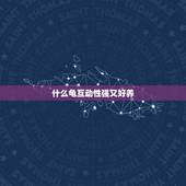 什么龟互动性强又好养，什么龟互动性强，生命力强？水龟
