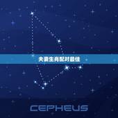 夫妻生肖配对最佳，十二生肖最佳的夫妻配对情况