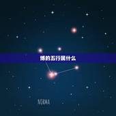 博的五行属什么，博文的博字五行属性是什么