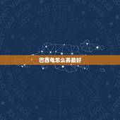 巴西龟怎么养最好，巴西龟怎么养最好