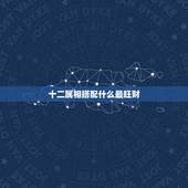 十二属相搭配什么最旺财，和属什么生肖婚配最好