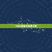 1963年生今年多少岁，1956年生今年多大岁数