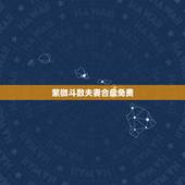 紫微斗数夫妻合盘免费，请帮看紫薇合盘