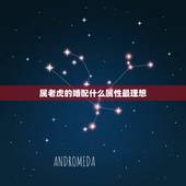 属老虎的婚配什么属性最理想，虎肖相配那几生肖最好 和属兔的生肖相配会怎