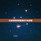女龙和男羊的属相合不合结婚，龙和蛇属相合不合