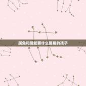 属兔和属蛇要什么属相的孩子，属蛇妈妈和属兔爸爸生个什么属相的孩子好呢？