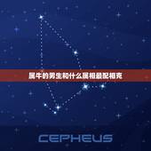 属牛的男生和什么属相最配相克，属牛和什么属相最配，属牛和什么属相最不配
