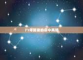 71年属猪的命中再婚，属猪的桃花劫是谁