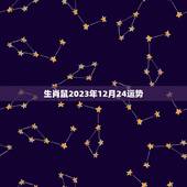 生肖鼠2023年12月24运势(幸运之星高照)