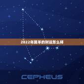 2022年属羊的财运怎么样，属羊人到了晚年有谁陪