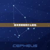 属羊男婚姻忌什么属相，属羊的婚姻配什么属相好