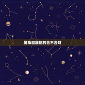 属兔和属蛇的合不合财，蛇和兔在一起有财运吗