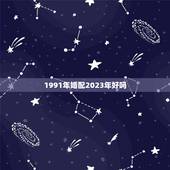 1991年婚配2023年好吗，两个人都是91年的，婚配合适吗？