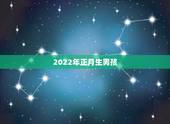 2022年正月生男孩，2022虎年生的男孩名叫何天可以吗？