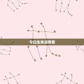 今曰生肖运势易，属相运势2021年生肖运程