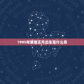 1995年属猪正月出生是什么命，属猪人命最苦是几月