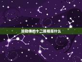 弥勒佛的十二属相是什么，弥勒代表什么生肖