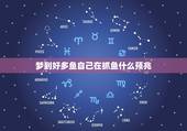 梦到好多鱼自己在抓鱼什么预兆，梦见好多鱼自己在抓鱼