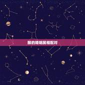 猴的婚姻属相配对，属蛇男与属猴女的姻缘