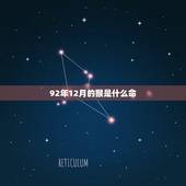 92年12月的猴是什么命，农历92年12月的猴是什么命