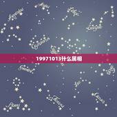 19971013什么属相，属牛和什么属相最配