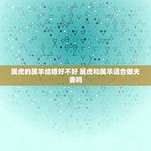 属虎的属羊结婚好不好 属虎和属羊适合做夫妻吗