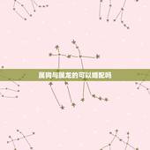 属狗与属龙的可以婚配吗，属狗和属龙的相配吗