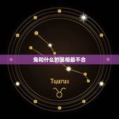 兔和什么的属相最不合，属兔的和哪些属相最合适？又和哪些属相不合适？