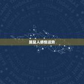属鼠人感情运势，84年属鼠的人2021年的运势及运程
