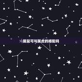 属鼠可与属虎的婚配吗，属鼠的和属虎的婚配怎么样啊？