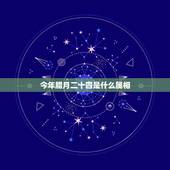 今年腊月二十四是什么属相，农历1991年腊月二十四生人2019年的运势