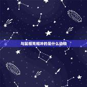 与鼠相克相冲的是什么动物，鼠和什么生肖相冲相合