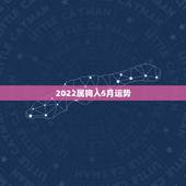 2022属狗人5月运势，82年属狗未来5年运势？