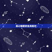 真心相爱的生肖配对，有多少因为生肖配对不合被逼分手的