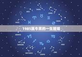 1985属牛男的一生婚姻 1985属牛男的婚姻命运