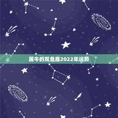 属牛的双鱼座2022年运势，属牛的双鱼座，今年的运势怎么样？