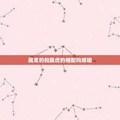 属龙的和属虎的相配吗婚姻，属龙和属虎的结婚好吗