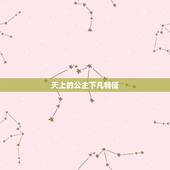 天上的公主下凡特征，神仙下凡投胎的特征