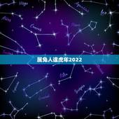 属兔人逢虎年2022，属兔人怎样避开虎年的恶运，变成好运？