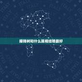 摇钱树和什么属相结婚最好，养什么植物最旺财，十二生肖各不同