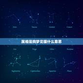 属相是狗梦见猫什么意思，梦到猫和狗 是什么意思啊？