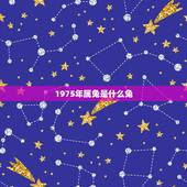 1975年属兔是什么兔，75年属兔何时走大运