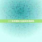 十二生肖婚配大全鼠跟羊相配吗，属鼠和属羊合不合