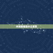 冲煞属相是什么意思，生肖冲煞是什么意思？