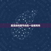 属龙的和属牛的在一起相克吗，男牛女龙是几等婚姻