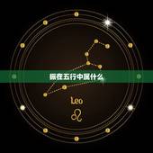 振在五行中属什么，求助，各位帮忙解答一