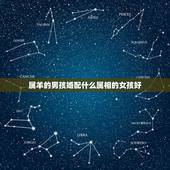 属羊的男孩婚配什么属相的女孩好，91年农历十月十六属羊的女孩和什么属相