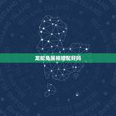 龙蛇兔属相婚配好吗，属相婚配：男属龙和女属兔相配吗