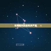 羊狗相刑到底有多严重，男羊女狗真不能结婚吗