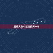属鸡人命中注定的另一半，属鸡和属鸡的婚姻配么